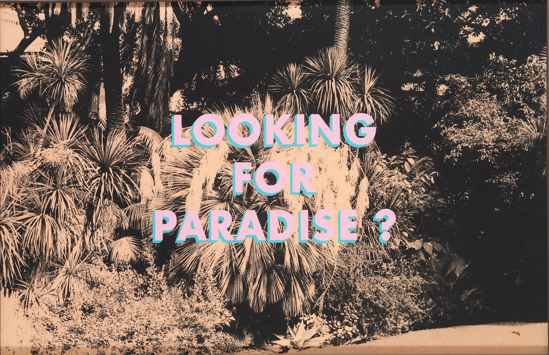 Looking for Paradise