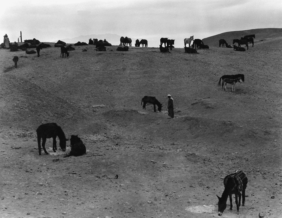 Paul Strand: North Africa, South Gallery