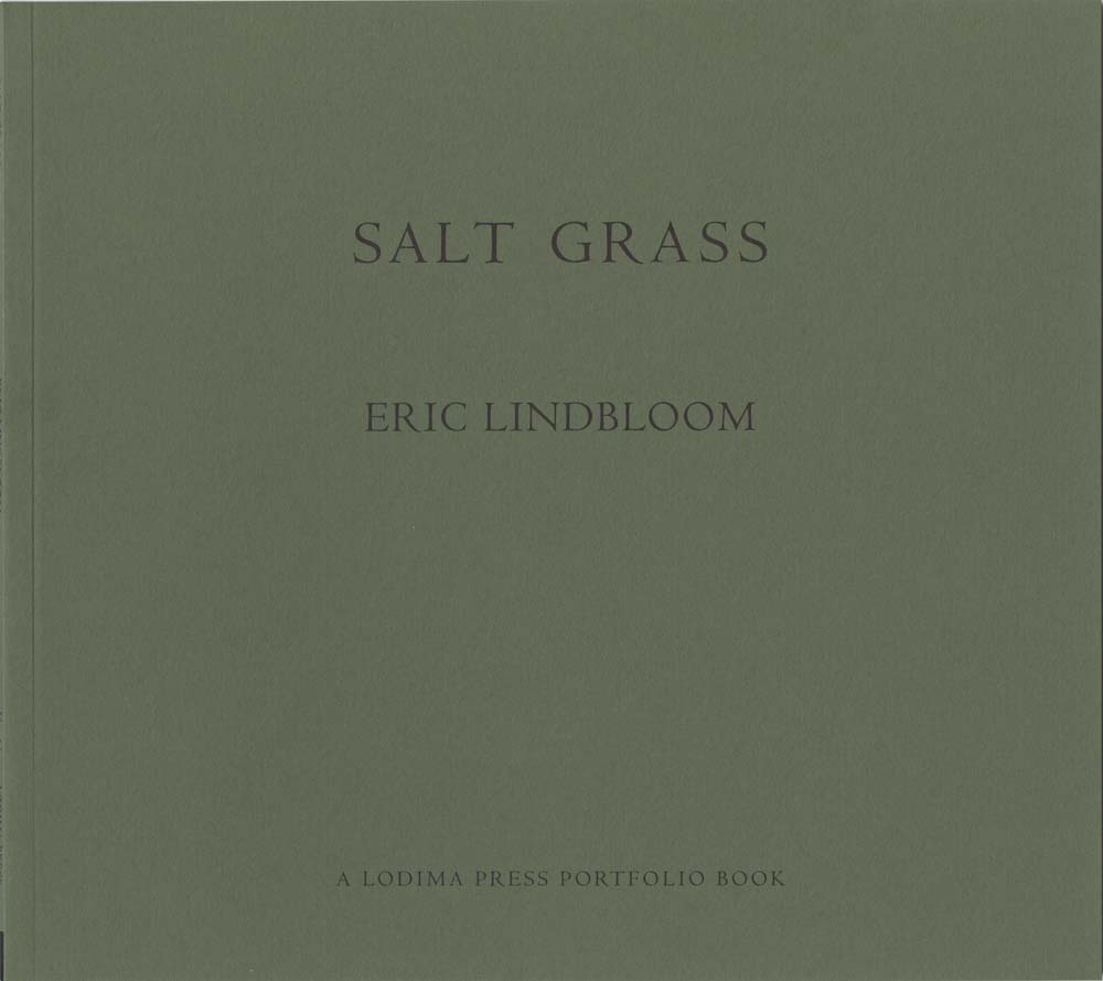 Eric Linbloom - salt grass - lodima press