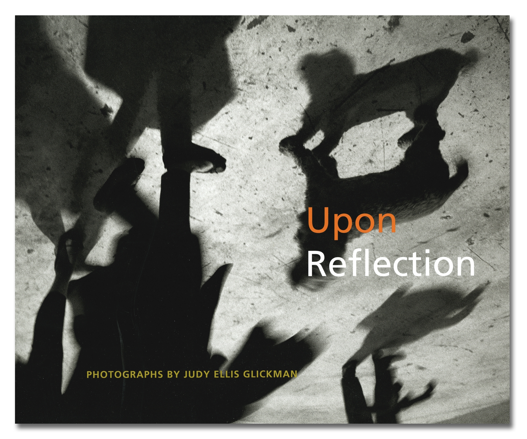Judy Glickman Lauder - Upon Reflection - University of New England - Howard Greenberg Gallery - 2018