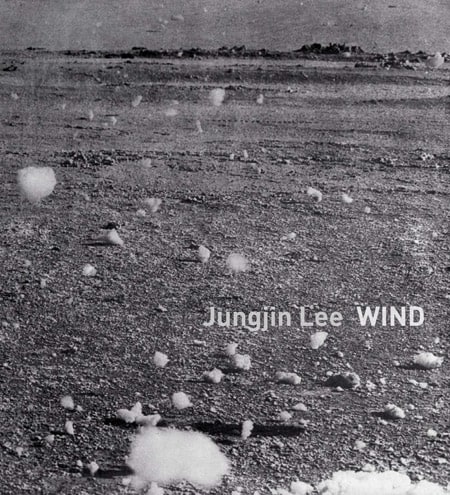 Jungjin Lee - Wind - Aperture/Sepia - 2009